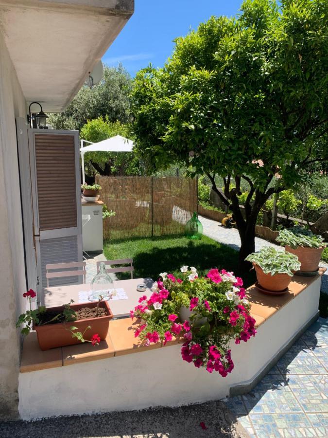 B&B Blanda Maratea Ngoại thất bức ảnh